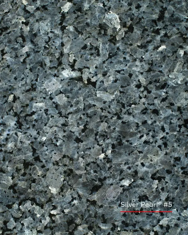 Silver Pearl® larvikiet met grote zilvergrijze en blauwgrijze kristallen en donkere accenten.